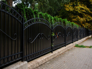 forged black iron fence with a gate on a strip foundation