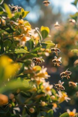 Urban Buzz: Bees in City Garden