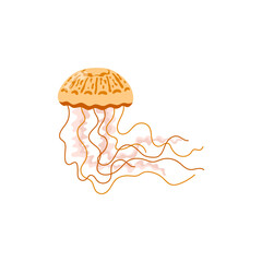 Jellyfish vector illustration with flowing tentacles