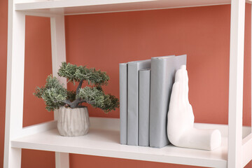 Shelving unit with holder for books  and bonsai tree near color wall