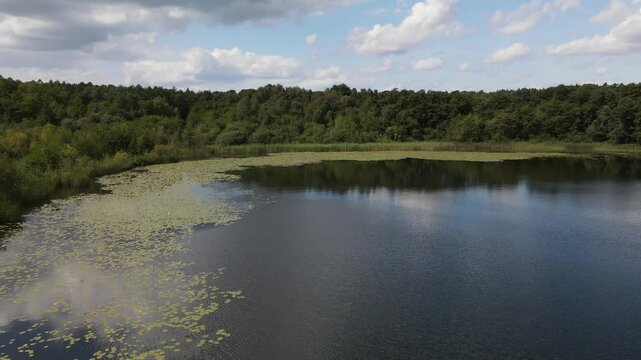 Fly over green nature and lake at the K&ouml;lpingsee area which is close located to Jabel