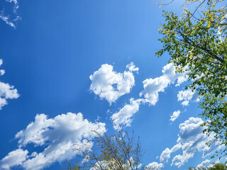 On a bright sunny day, the blue sky with a heart-shaped cloud