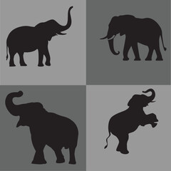 A majestic elephant silhouette standing tall