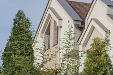 House with green trees on the background of the blue sky in summer