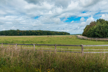 fenced country field with grazing horses 
