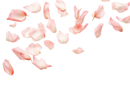PNG  Delicate pink petals floating gracefully
