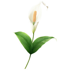 Obraz premium 2d detailed game icon peace lily