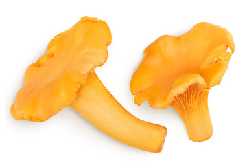 Chanterelle mushroom isolated on a white background. Top view. Flat lay