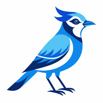 recommend clip art: Blue Jay silhouette vector art illustration on a white background 