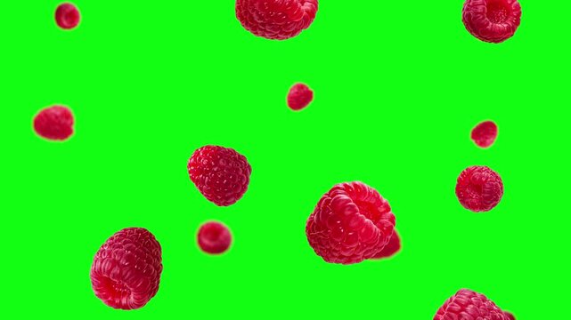 Falling Raspberry and berry leaves with Isolated green box Background - High-Quality Stock Video, Falling Raspberry video