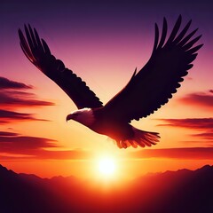 Obraz premium Eagle silhouette flying against a sunset sky