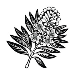Simple hand drawn pattern with acacia flowers and leaves Vector.