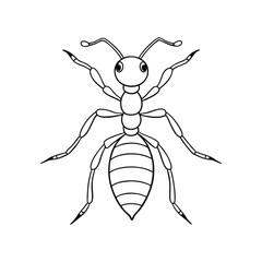 Ants silhouette illustration color Icon on White and
 black Vector Backgrounds.