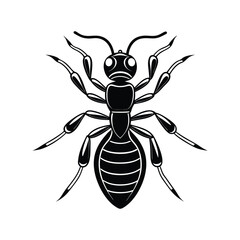 Ants silhouette illustration color Icon on White and
 black Vector Backgrounds.
