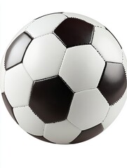 Fototapeta premium Classic Black and White Soccer Ball