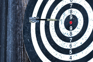 Dartboard against old tree background. Two darts hit the target of a dart board. Bad shots on...