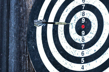 Dartboard against old tree background. Two darts hit the target of a dart board. Bad shots on...