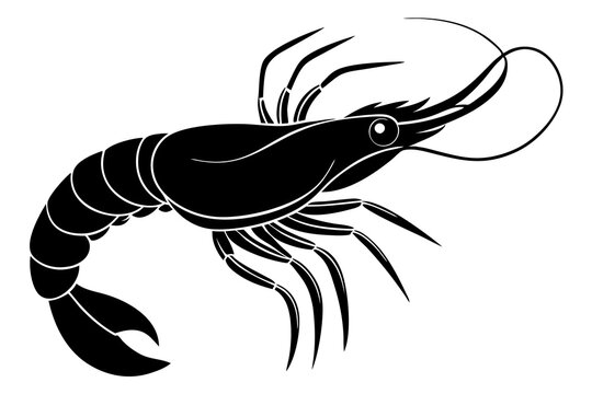 recommend clip art: shrimp vector silhouette, shrimp icon vector, Sea lobster	