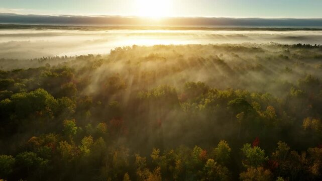 Beautiful dawn aerial shot of sunlight shining thought the trees and low fog in Minnesota in the autumn. Trees are turning their fall colors