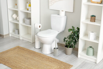 Toilet bowl, paper holder, houseplant and shelving units in restroom