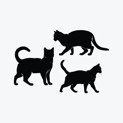 Elegant Siberian Cat Silhouette Vector Illustration Template