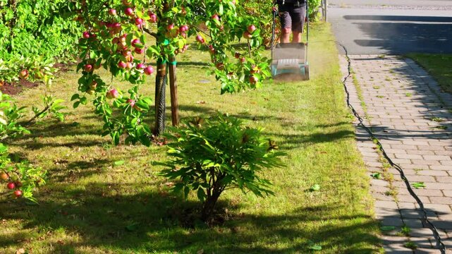 Man using electric lawn rake to clear fallen leaves and debris from garden in autumn. Sweden.