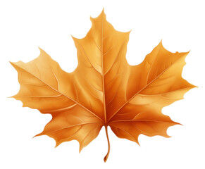 Fototapeta premium PNG Plant tree chandelier fragility.