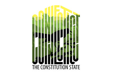 vector Connecticut t-shirt design with American Robin