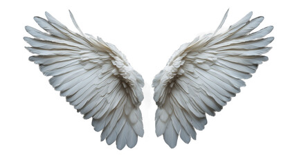white angel wings on transparent background