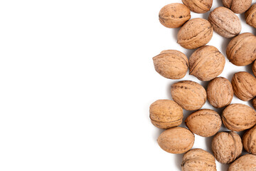 Many tasty walnuts on white background