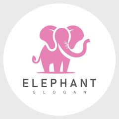Cute elephant logo design vector