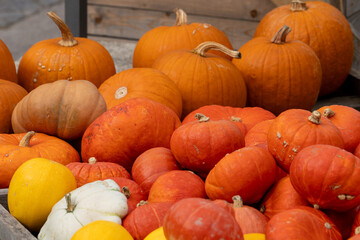 Kürbiss Verkauf auf einen Marktplatz