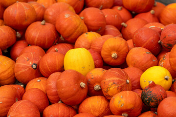 Kürbiss Verkauf auf einen Marktplatz