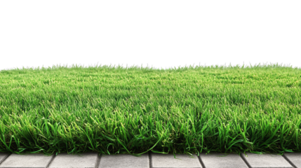 Set Astro turf floor clipart on transparency background PNG