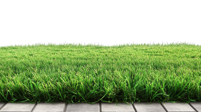 Set Astro turf floor clipart on transparency background PNG