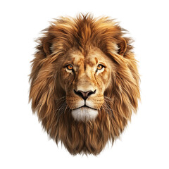 lion head isolated