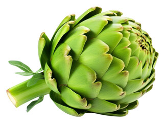 Fototapeta premium PNG Greeen artichoke vegetable plant food.