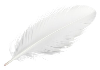 Obraz premium PNG White feather white background lightweight accessories.