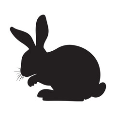 white rabbit on black