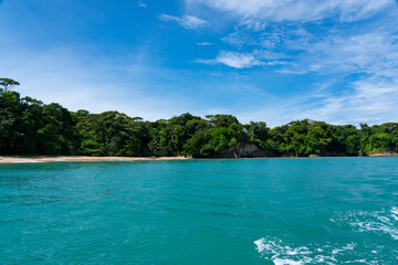 Stunning Tropical Island in Bocas del Toro, Panama with Crystal Clear Caribbean Waters, Lush Green Forest, and Vibrant Coastal Scenery, A Paradise for Nature Lovers and Eco-Tourism Enthusiasts