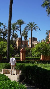medieval gardens of seville andalusia alcazar