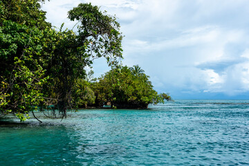 Stunning Tropical Island in Bocas del Toro, Panama with Crystal Clear Caribbean Waters, Lush Green Forest, and Vibrant Coastal Scenery, A Paradise for Nature Lovers and Eco-Tourism Enthusiasts