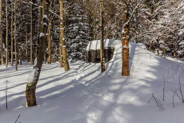 Winter view of a concrete pillbox from the WW2 in Orlicke hory mountains, Czech Republic