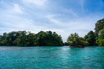Stunning Tropical Island in Bocas del Toro, Panama with Crystal Clear Caribbean Waters, Lush Green Forest, and Vibrant Coastal Scenery, A Paradise for Nature Lovers and Eco-Tourism Enthusiasts