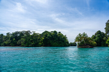Stunning Tropical Island in Bocas del Toro, Panama with Crystal Clear Caribbean Waters, Lush Green Forest, and Vibrant Coastal Scenery, A Paradise for Nature Lovers and Eco-Tourism Enthusiasts