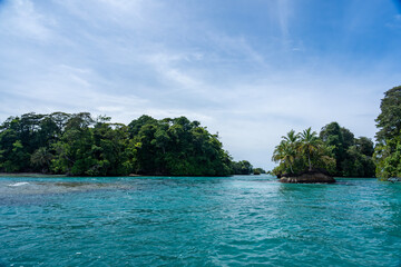 Stunning Tropical Island in Bocas del Toro, Panama with Crystal Clear Caribbean Waters, Lush Green Forest, and Vibrant Coastal Scenery, A Paradise for Nature Lovers and Eco-Tourism Enthusiasts