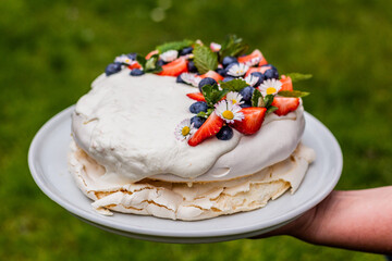 Pavlova cake on a grass background