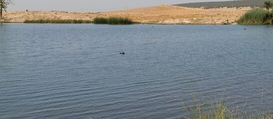 Ifrane, Morocco - August 07, 2024: Lake Zerrouka, a natural beauty north of Ifrane in the heart of Morocco with a charming nature
