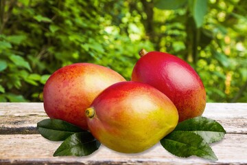 Tasty sweet fresh ripe mango fruit