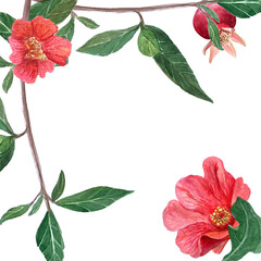 A branch with pomegranates, flowers and leaves watercolor frame isolated on white. Hand drawn realistic fruit element for cards, banners, posters, home decor, prints. Vibrant autumn plant clip art